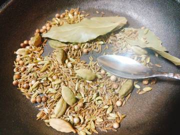 Spicy curry for senior dogs 002