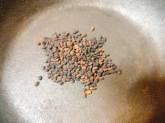 Spicy curry for senior dogs 005