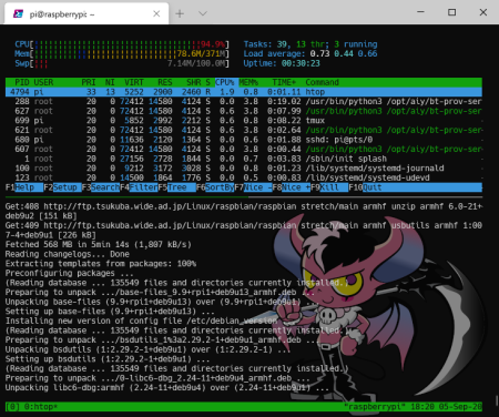 Google Voice Kit V2.0 tmux & htop