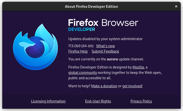 Firefox Developer Edition 001-1