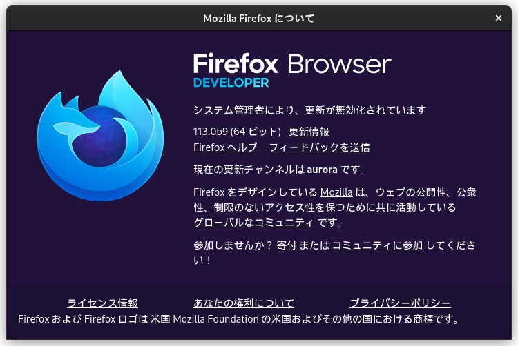 Firefox Developer Edition 010