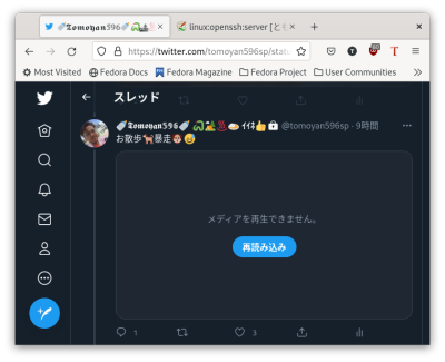 Firefox ffmpeg インストール前