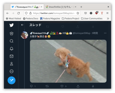 Firefox ffmpeg インストール後