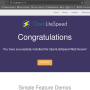 ssh_localforward_openlitespeed_example.png