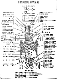 早見表