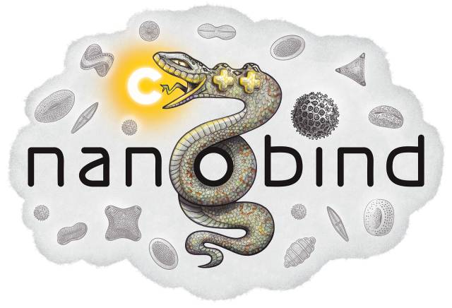 nanobind logo