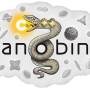 nanobind_logo.jpg