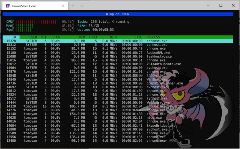 NTop System Monitor