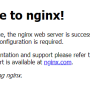 windows_nginx.png