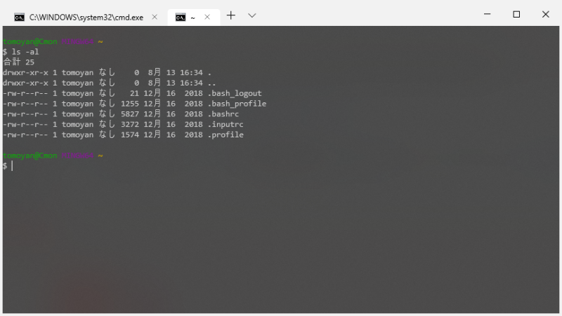 Windows Terminal MSYS2