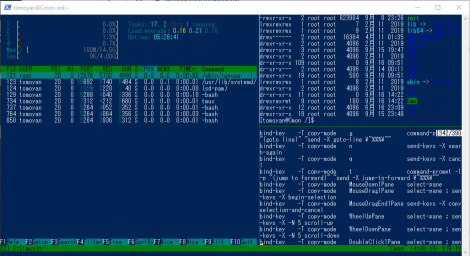 tmux 画面